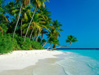 Summer wallpapers28